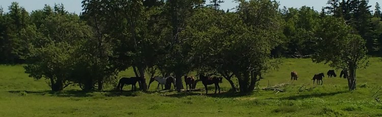 IMG_20160619_154601560